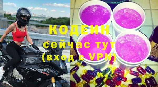 гидра Арсеньев