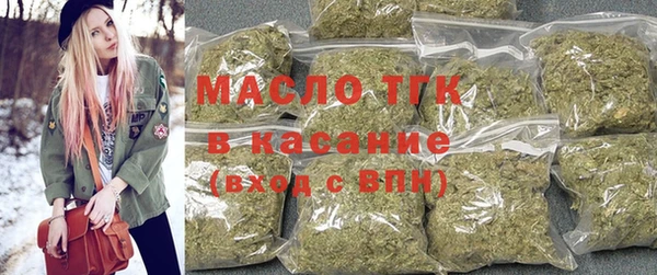 гидра Арсеньев