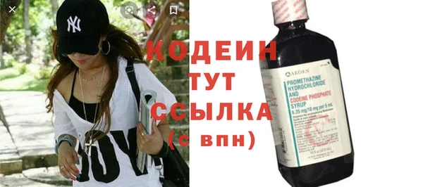 гидра Арсеньев