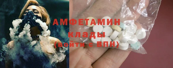 гидра Арсеньев