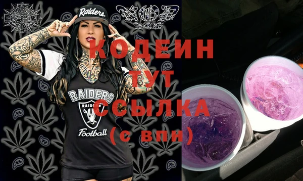 гидра Арсеньев