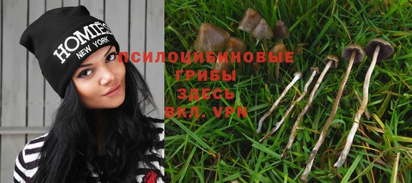 mix Армянск
