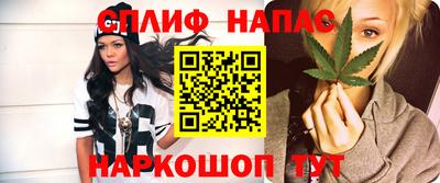 прущие грибы Наро-Фоминск