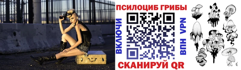 что такое   Волгодонск  Галлюциногенные грибы Cubensis 