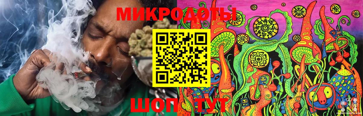 Галлюциногенные грибы Psilocybe Волгодонск